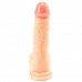 Realistic Dildo with Balls and Suction Cup 19 cm