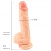 Realistic Dildo with Balls and Suction Cup 19 cm