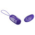 Purple bullet remote control