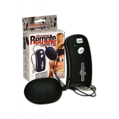 Remote control vibrating egg