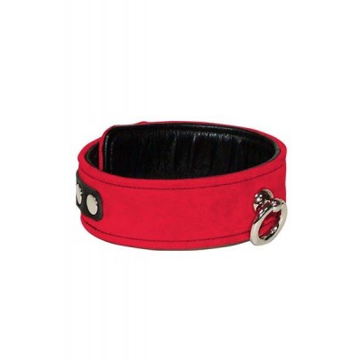 Red leather collar