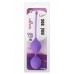 Duo Vaginal Balls Purple