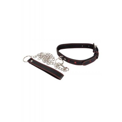 Collar and metal Leash