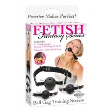 Ball gag training system