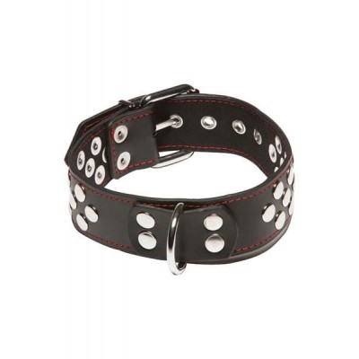 Leather collar with ring
