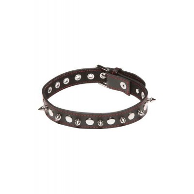 Spiked leather collar