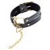 Gold Collar & Leash