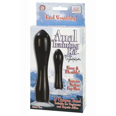 Anal training kit