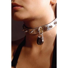 Shock delight collar